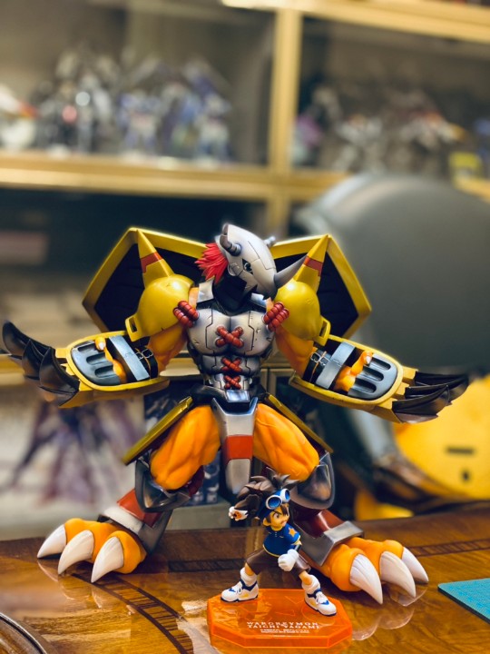 MEGAHOUSE数码宝贝