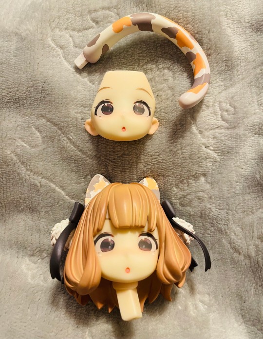 芜！完美的猫咪