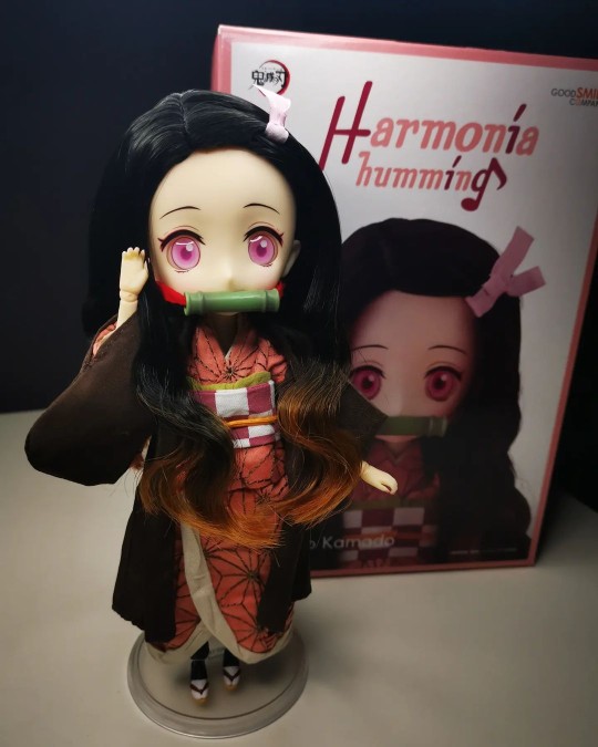 人生第一個BJD