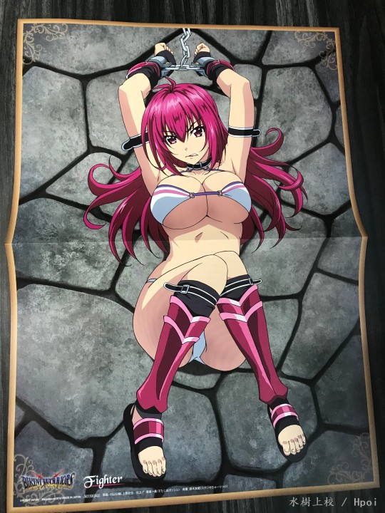 Bikini Warriros Fighter DX Ver.