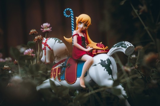 眼镜厂 物语系列 忍野忍 一番赏