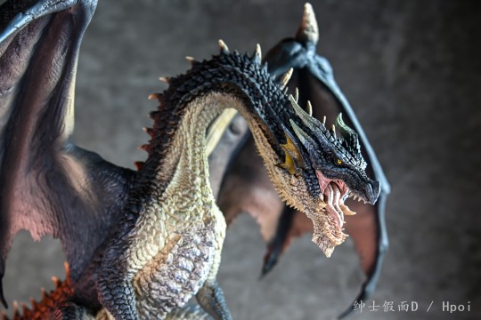 黑龙ミラボレアス