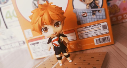 混凝土出身的日向翔阳！