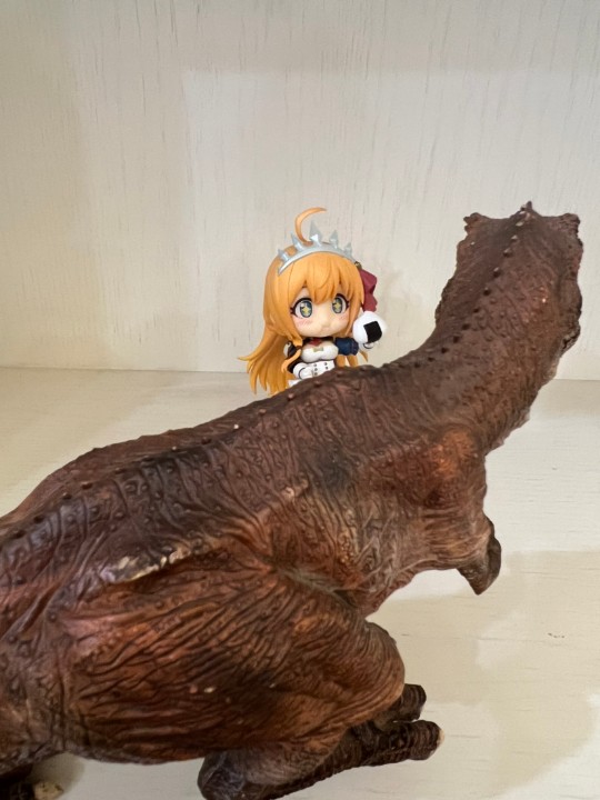 佩可莉姆的一餐