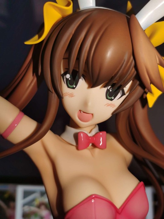 FREEing B-Style Infinite Stratos 凰铃音 兔女郎 1/4