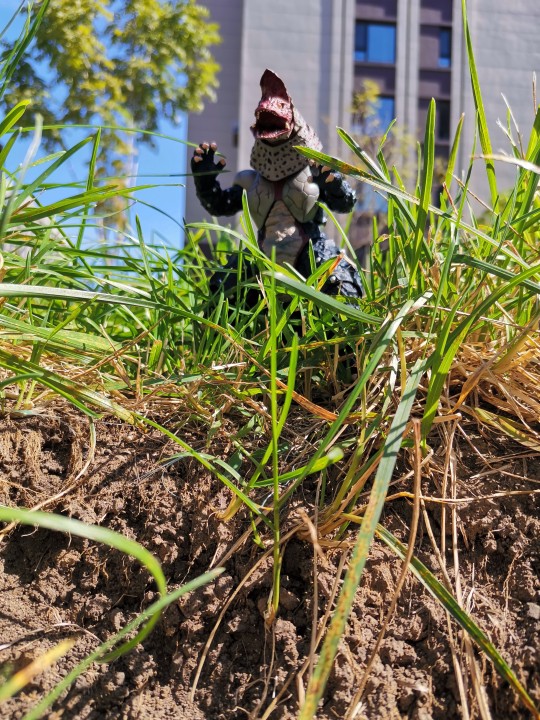 换了尾巴好玩多了