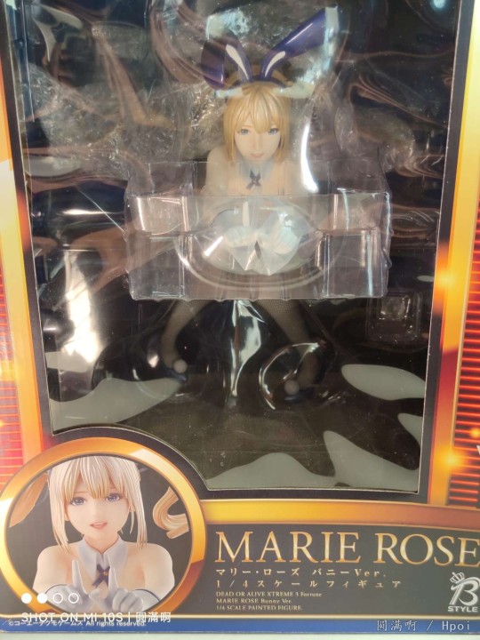 FREEing 死或生沙滩排球 玛丽罗斯