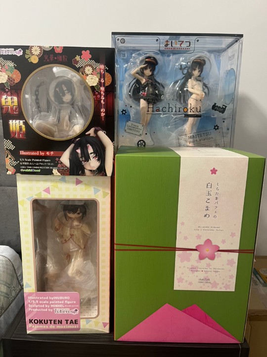 寄存在日本朋友那边半年手办终于回来了