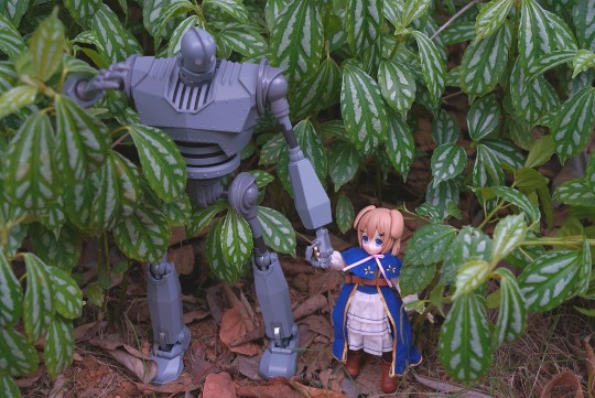 博物志日常记录（老父亲系列）