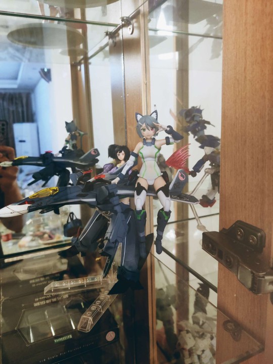 翱翔吧，凯罗斯