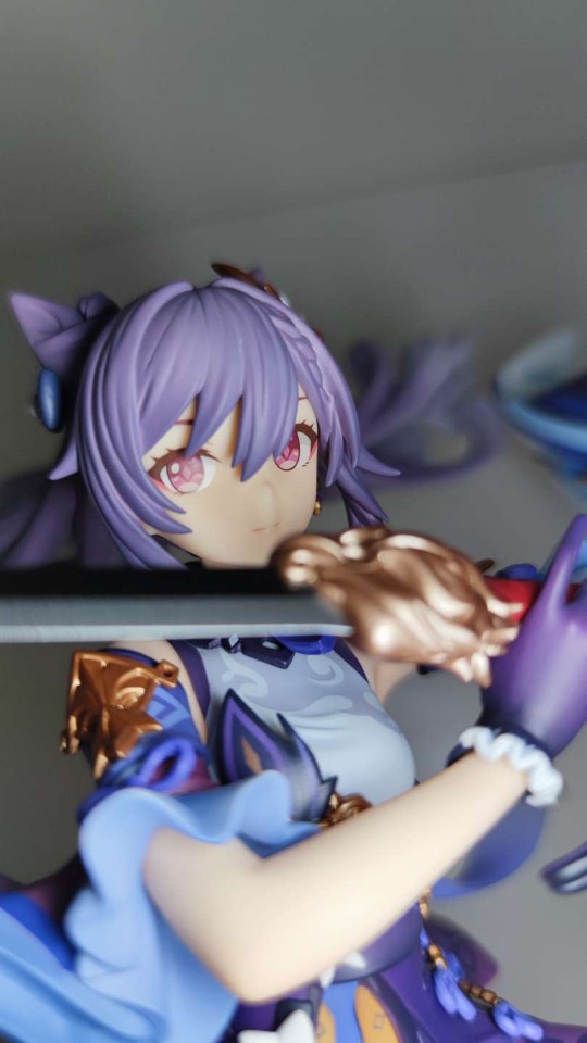 随手拍一下，不会打光