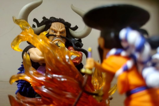 ONE PIECE   wcf随拍  之拍了又拍