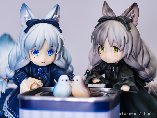 RIBOSE 茶会猫 异色狸花猫