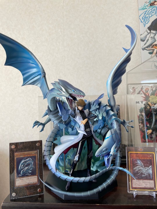 推上店家玩家实物图