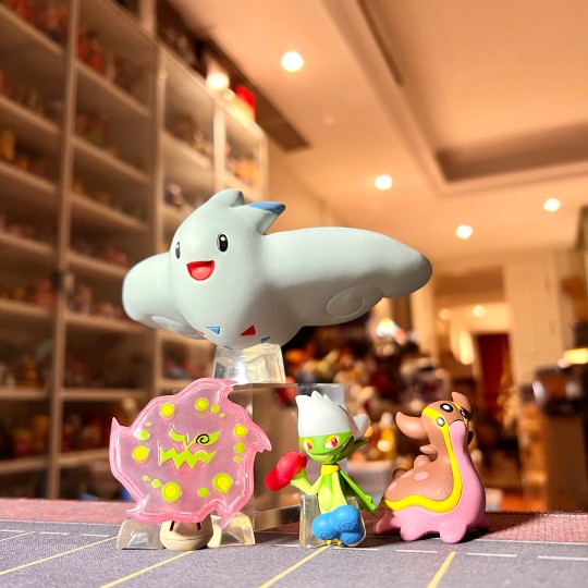 宝可梦比例世界PB罗丝雷朵 海兔兽 花岩怪 波克基斯