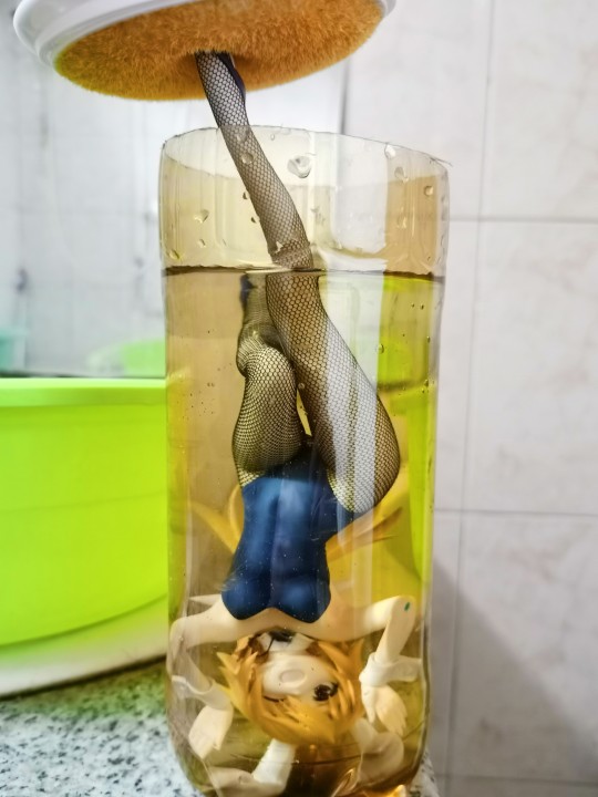 寿屋 Infinite Stratos - Charlotte 兔女郎 1/7