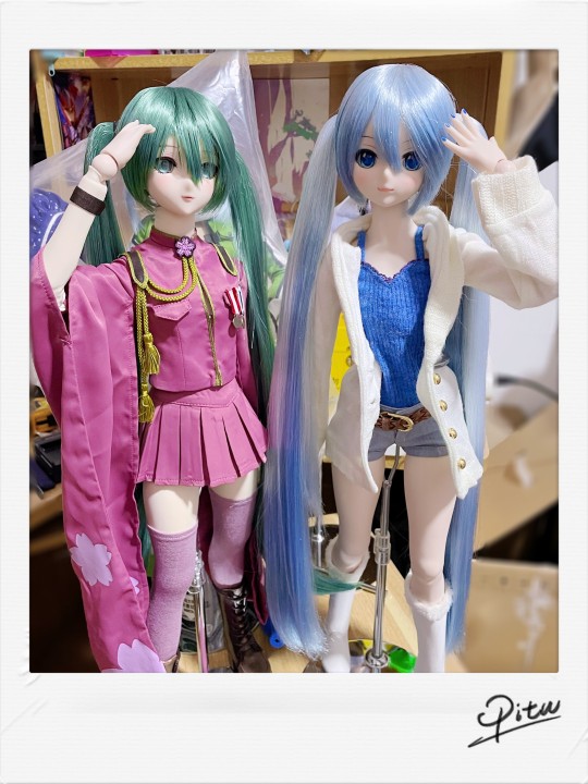 阿妮官配雪和千本阿妮亚