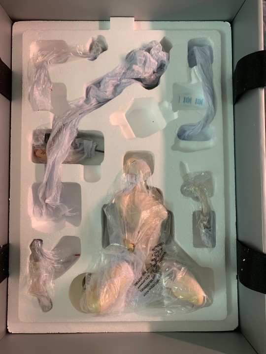 纯手机拍开箱，无打光特效修图