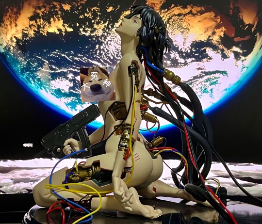 打了码也会卡审吗