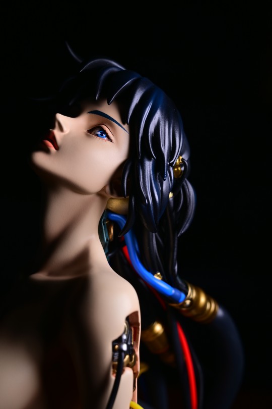 草薙素子 95攻壳机动队 With Fans! GSC