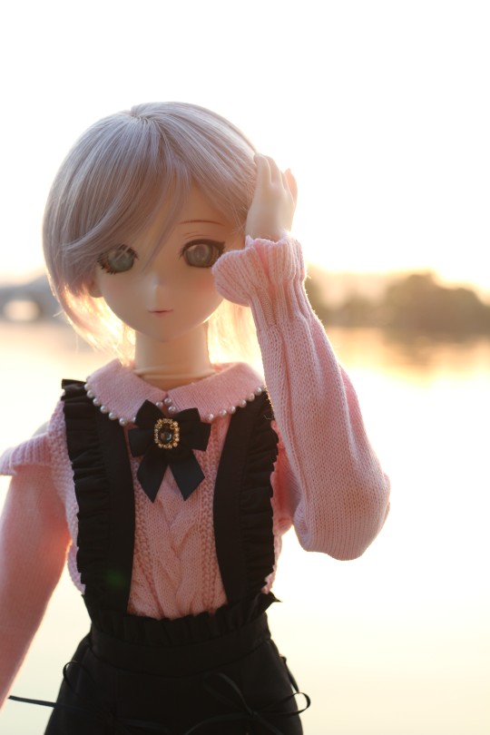 带阿妮亚出门外排