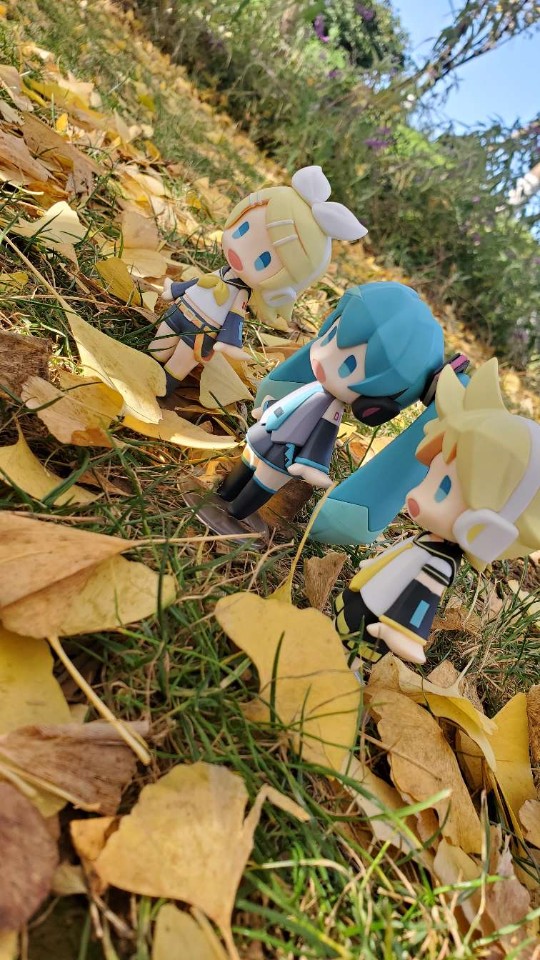 什么叫做蠢萌啊？（后仰）