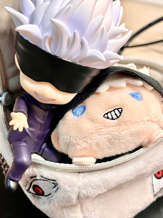 猫包 可爱猫包🤤