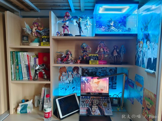 翅膀没断！可把我激动坏了