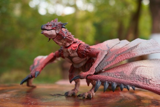 雄火龙的生态记录（bushi