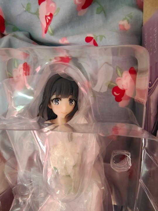 手机渣拍，附上日淘麻衣翔子玩偶！