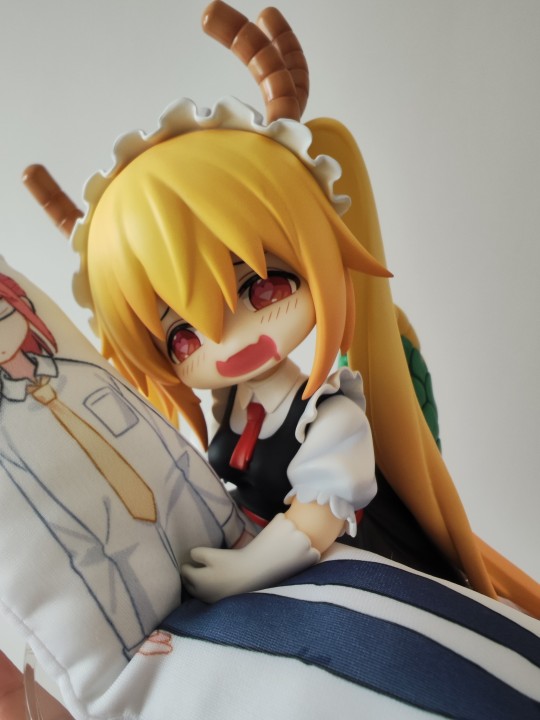 关于托尔想和小林生八个这件事