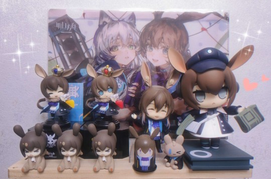 阿米娅老婆 🐰🐰