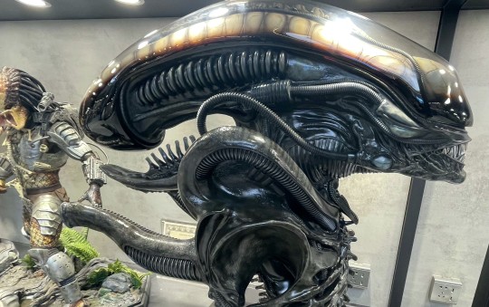 羊了之后的开箱