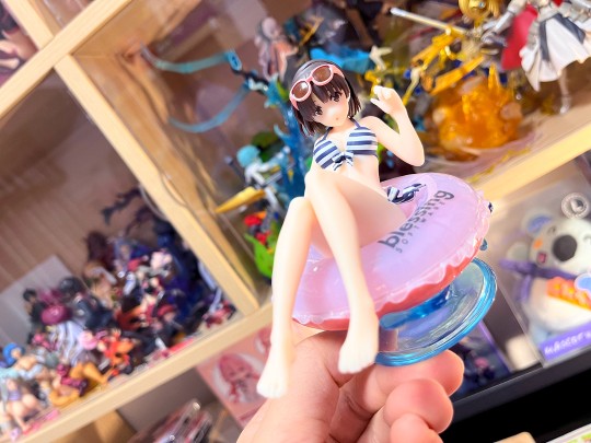 掌中娇妻，非圣人惠莫属