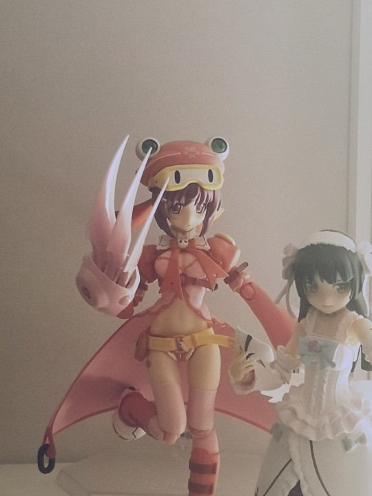 可可爱爱的马卡龙