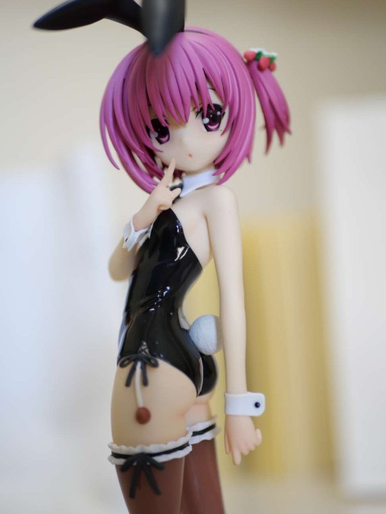 凑智花 黑色兔子