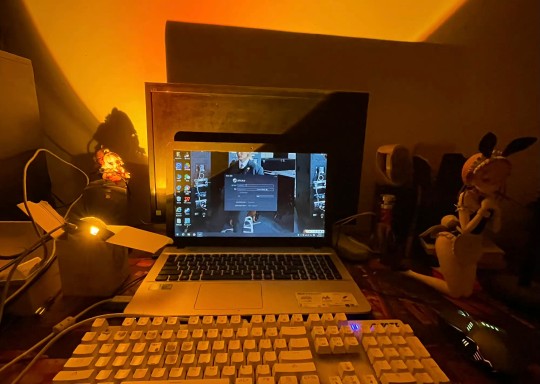 日落灯的拉姆兔女郎