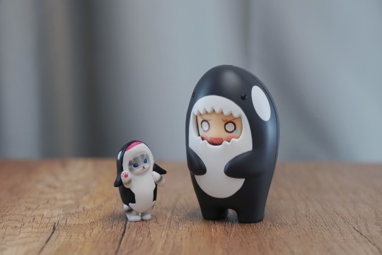 粘土人配件系列 玩偶裝 虎鲸 体验