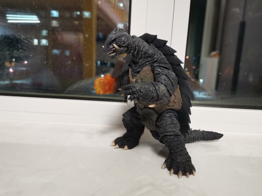 买了一只王霸，每天笑哈哈