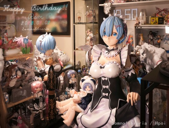 给本命们庆生的相册