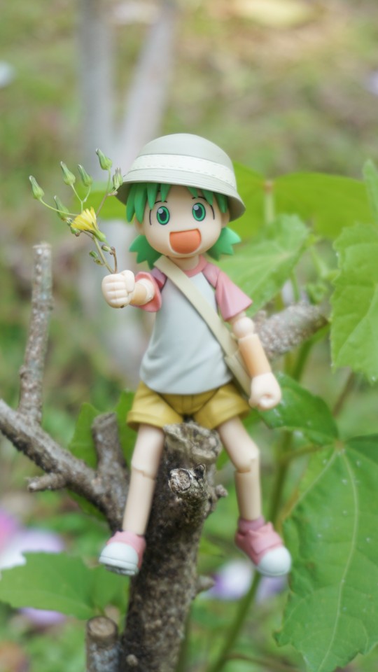 与四叶🍀女儿的公园外拍