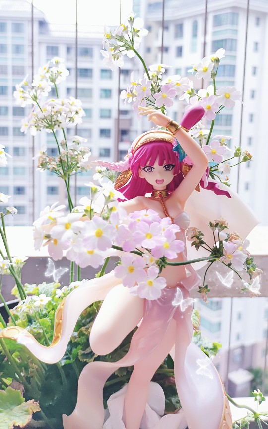 塑料小人和家里的小花合照