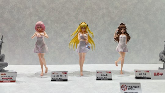 小暗 WF2023冬 现场拍摄