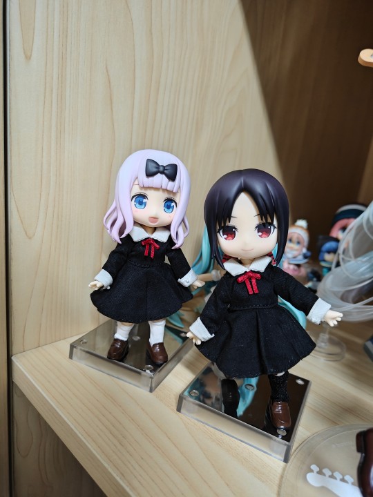 四宫辉夜和藤原千花哦！