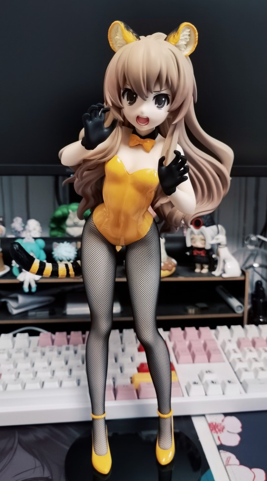 🐯逢坂大河·虎女郎🐯