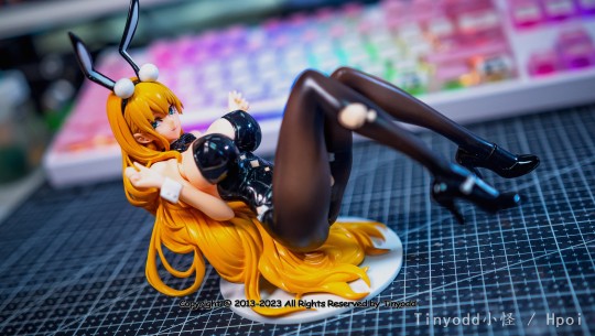 【碧蓝航线】 北卡罗莱纳 兔女郎装 秘密的换装练习 ver.