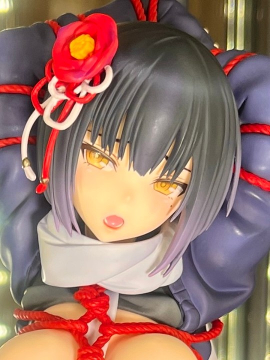 推上的盒照（更新推实拍）