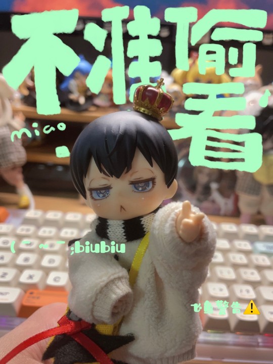 排球少年再就业