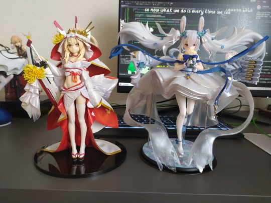 拉菲凌波到货水