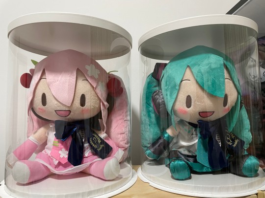 蝴蝶结樱fufu和公式服fufu